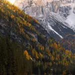 Landschaftsfotografie - Dürrensee, Lago di Landro, Berge spiegeln sich, Herbst