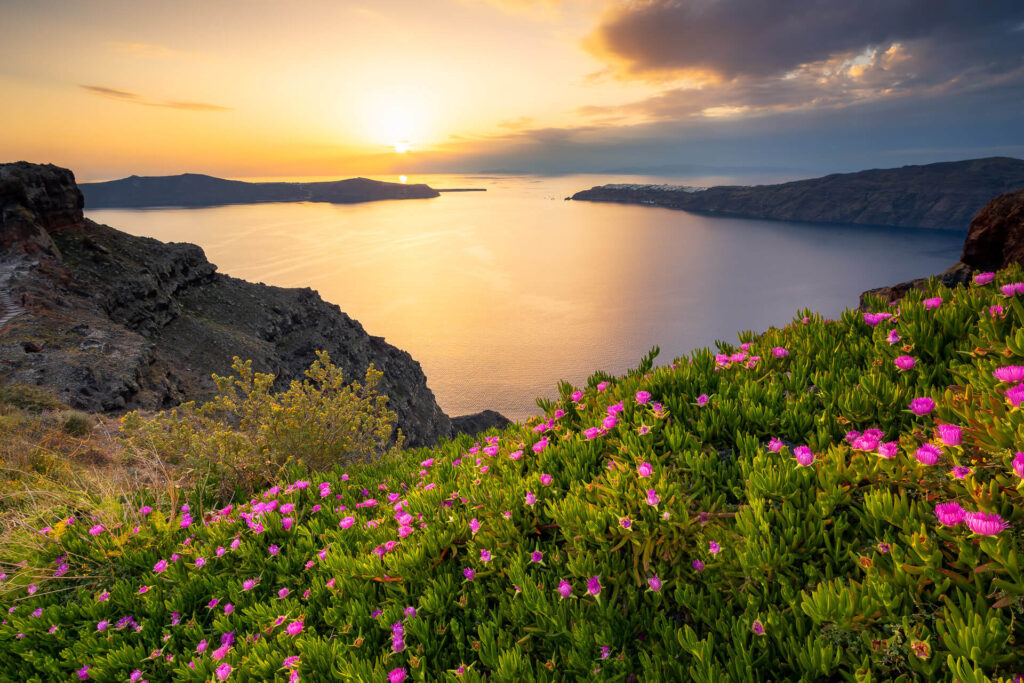 Imerovigli Santorini mit Caldera beim Sonnenuntergang Blumen