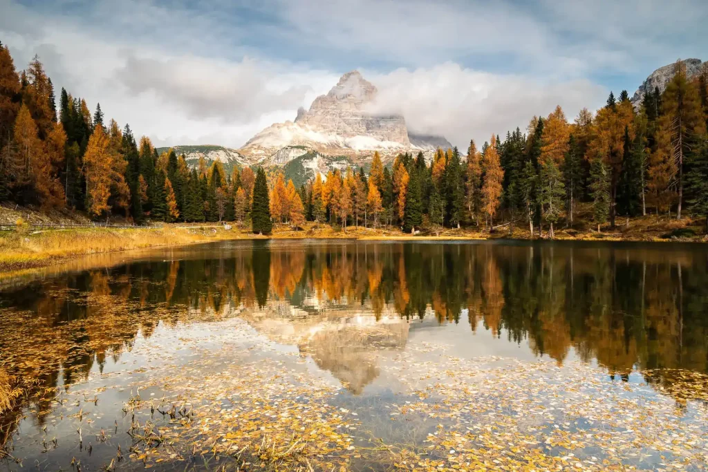 Drei Zinnen spiegeln sich im Lago Antorno mit gelben Lärchen Fotoreise Dolomiten
